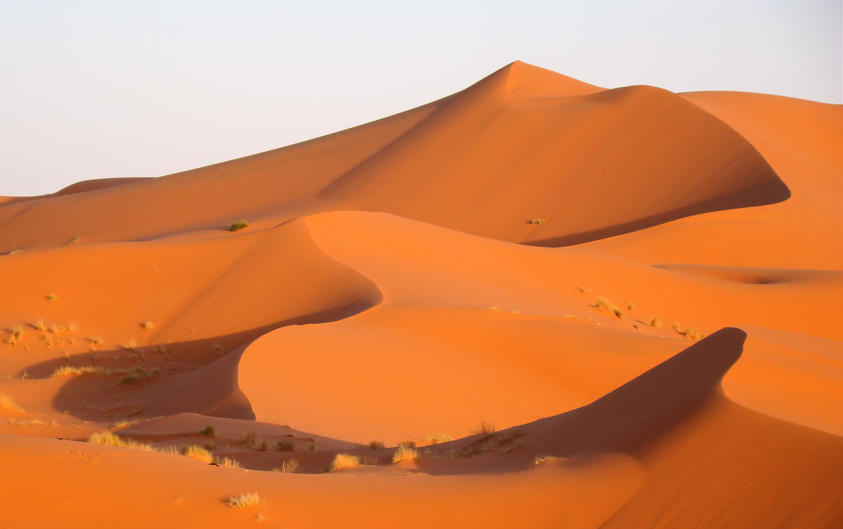 Wind-carved dune crest in the Erg Chebbi, Sahara